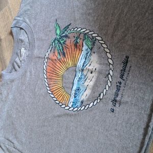 Hollister Crop top Tee